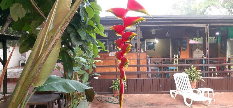 Residencial Noelia Hostel פוארטו איגואסו מראה חיצוני תמונה